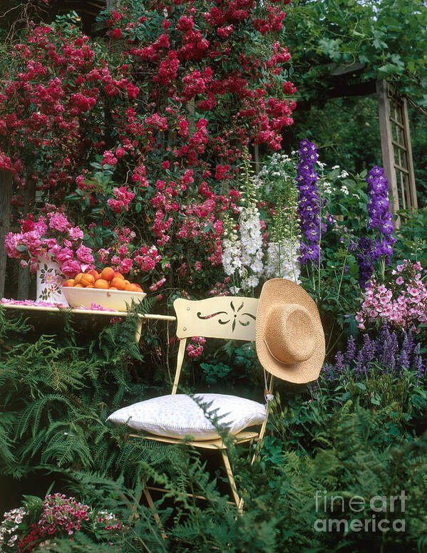 Plant Poster featuring the photograph Garden With Chair by Hans Reinhard
