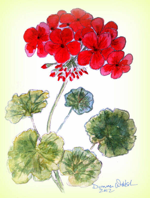 Geranium Poster featuring the painting Geranium by Donna Walsh
