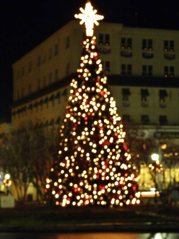 Christmas Tree Poster featuring the photograph Gettysburg PA Christmas Tree by John Williams