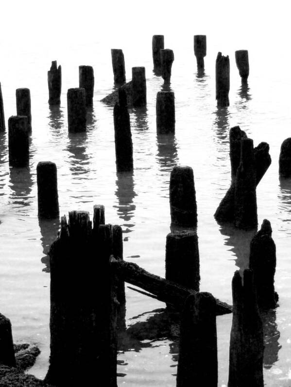 Photography Poster featuring the photograph 'Ghostly Pilings' by Liza Dey