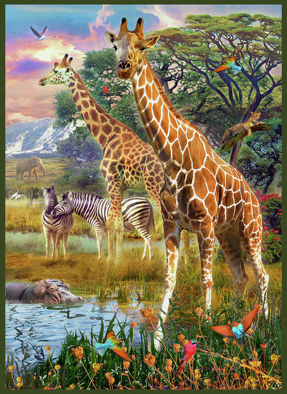 Giraffe Poster featuring the drawing Giraffes by MGL Meiklejohn Graphics Licensing