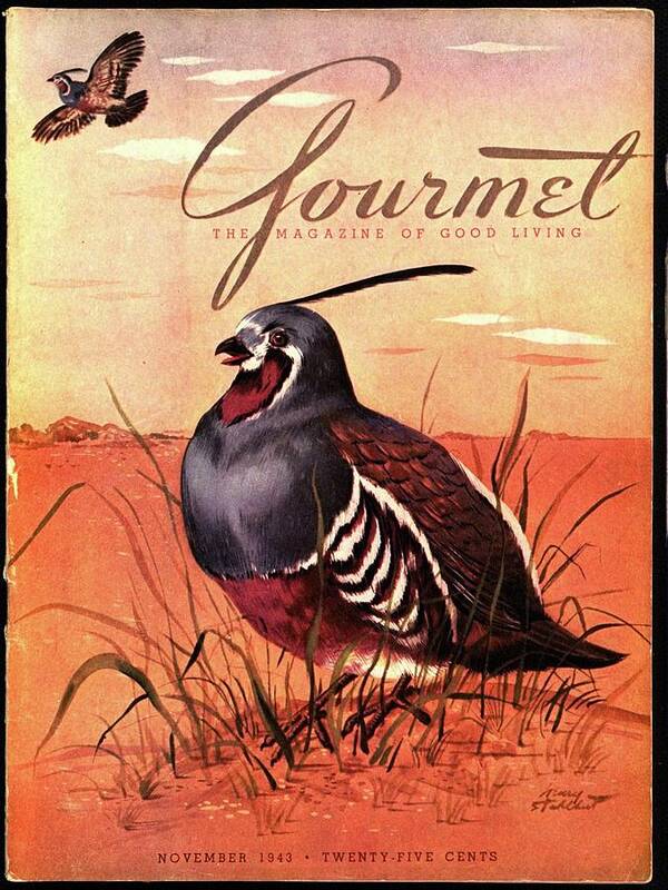 Illustration Poster featuring the photograph Gourmet Cover Featuring A Quail by Henry Stahlhut