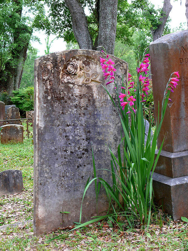 Louisiana Poster featuring the photograph Grave Stone With Pink Flowers by Jeanne Woods