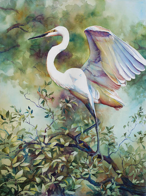 Great Egret Poster featuring the painting Great Egret VIII by Sue Zimmermann