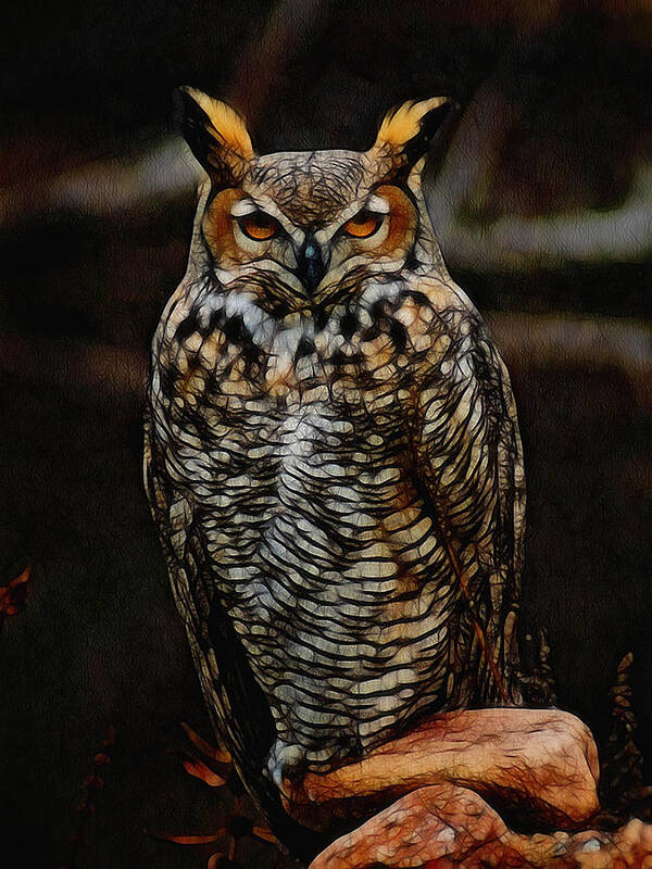 Owl Poster featuring the digital art Great Horned Owl Digital Art by Ernest Echols