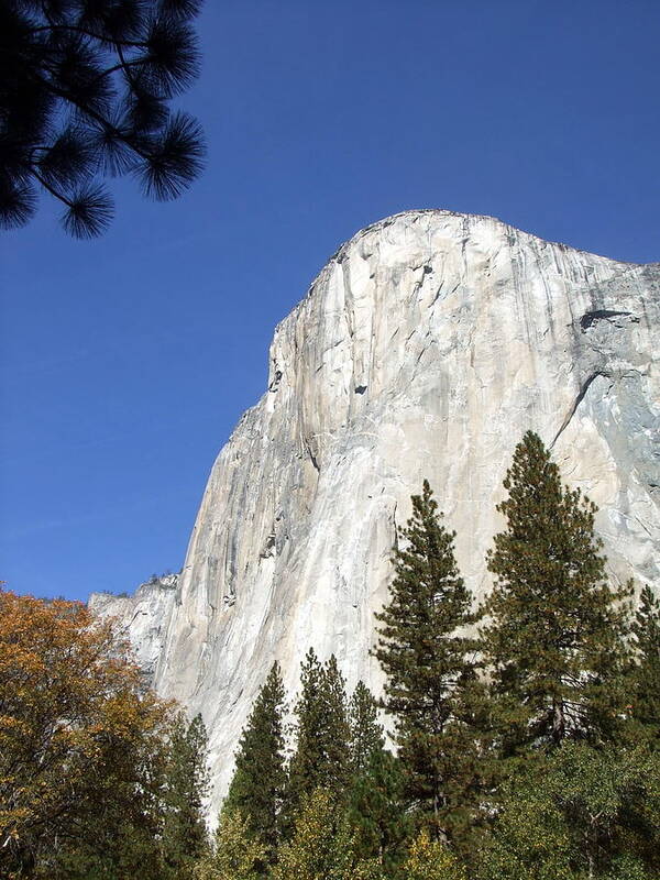 Half Poster featuring the photograph Half Dome Yosemite by Richard Reeve