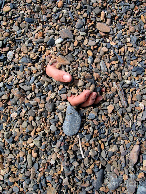 Bizarre Poster featuring the photograph Hand in Gravel by Stephan Pietzko