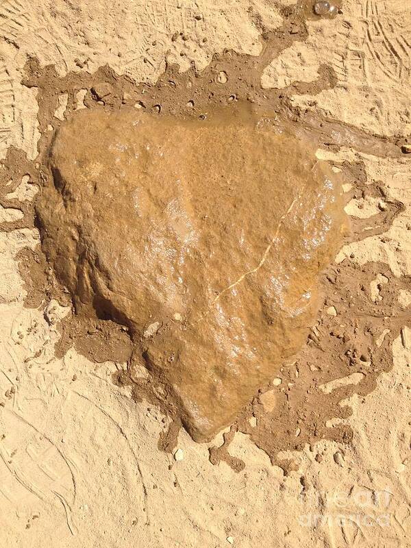 Heart Poster featuring the photograph heART rock by Nora Boghossian