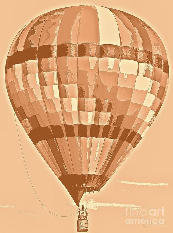 Hot Air Balloon Poster featuring the photograph Hot Air #8 by Robert ONeil