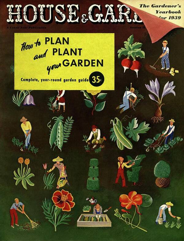 House And Garden Poster featuring the photograph House And Garden How To Plan And Plant by Ilonka Karasz