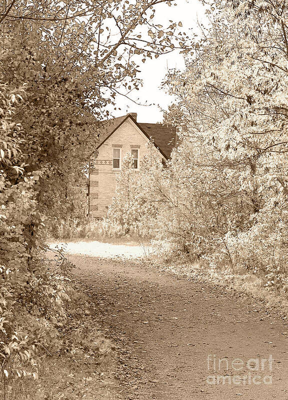 House Poster featuring the photograph House in autumn by Blink Images
