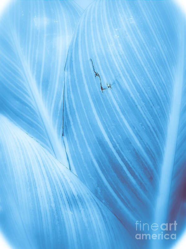 Abstract Poster featuring the photograph Imperfection Blue Version by Fei A