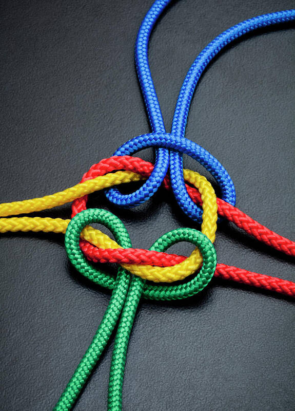 Teamwork Poster featuring the photograph Intertwined Multicolored Ropes by Jorg Greuel