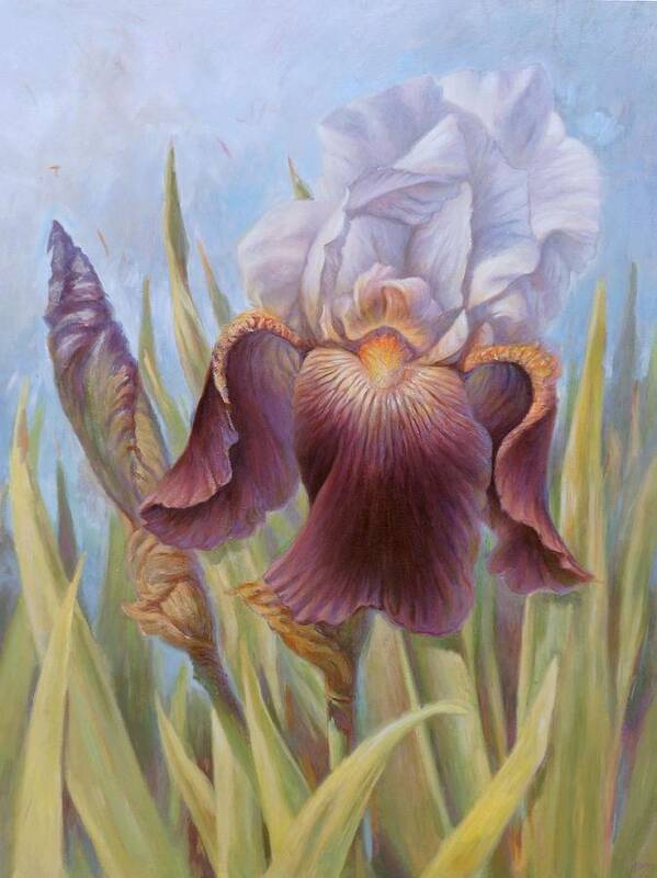Iris Flower Poster featuring the painting Iris 1 by Hans Droog