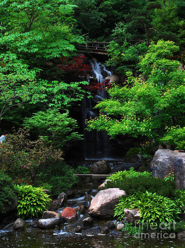 Waterfall Poster featuring the photograph Japanese Garden Waterfall by Nancy Mueller