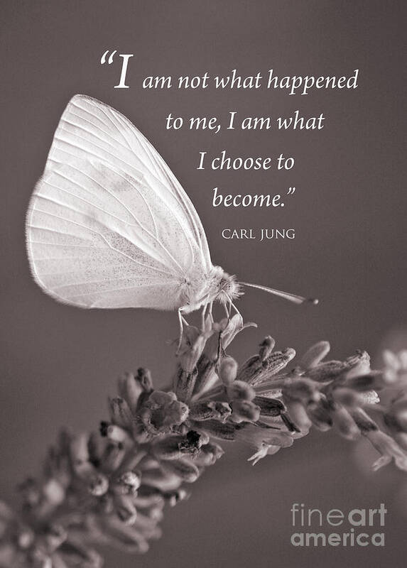 Recovery Poster featuring the photograph Jung Quotation and Butterfly by Chris Scroggins