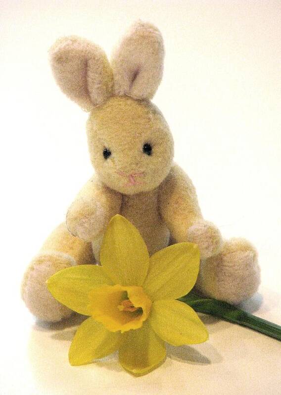 Yellow Bunnies Poster featuring the photograph Just One More Jonquil by Angela Davies