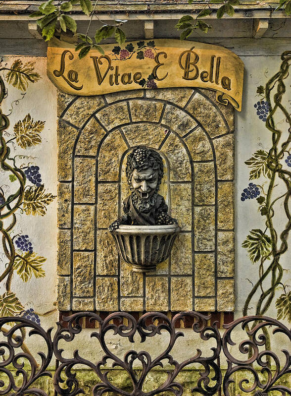 Backus Poster featuring the photograph La Vitae E Bella by Robert Culver