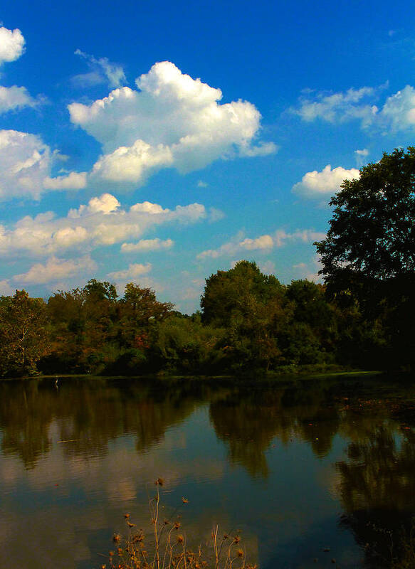 Lake Poster featuring the photograph Lake Reflections by Jeff Kurtz