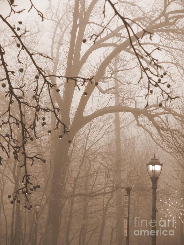 Sepia Poster featuring the photograph Lantern in the Rain by Miriam Danar