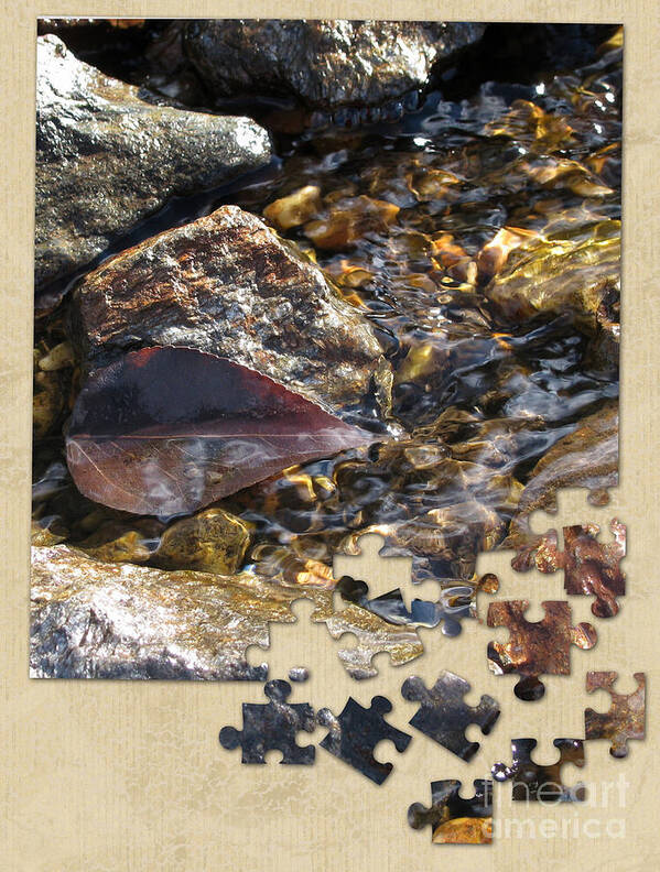 Leaf Poster featuring the photograph Leaf Puzzle-2 by Leone Lund