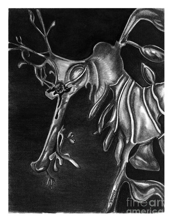 Charcoal Poster featuring the drawing Leafy Sea Dragon by Leara Nicole Morris-Clark