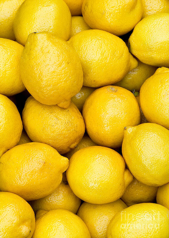 Lemons Poster featuring the photograph Lemons 02 by Rick Piper Photography