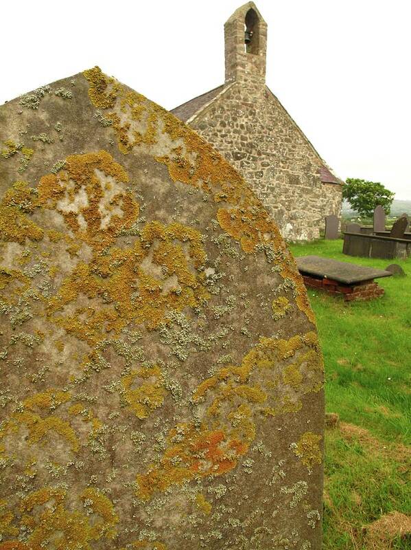 Air Quality Poster featuring the photograph Lichen On Gravestone In Unpolluted Air by Cordelia Molloy