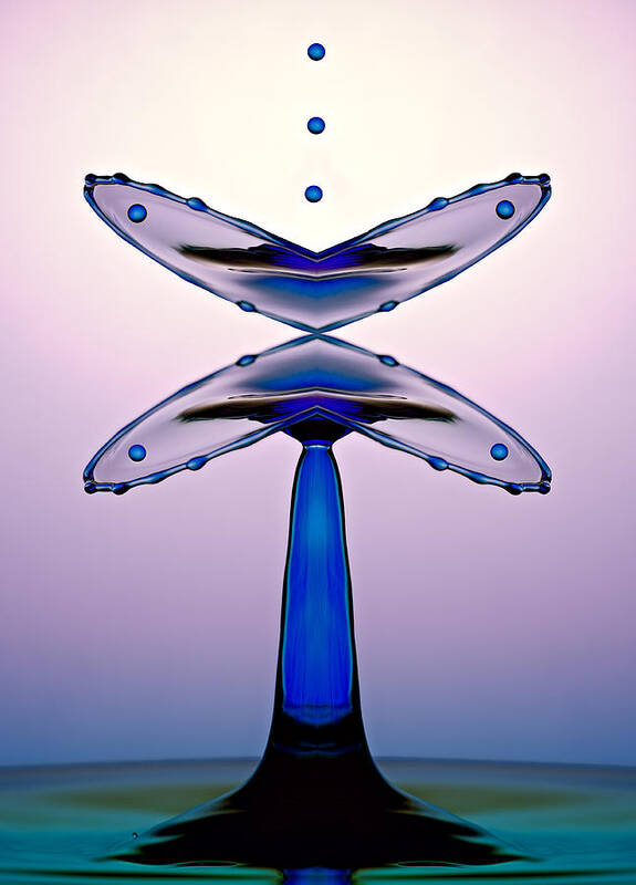 Water Poster featuring the photograph Liquid Butterfly Wings by Susan Candelario
