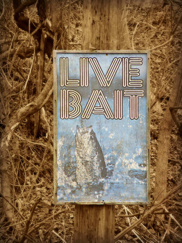 Live Bait Poster featuring the photograph Live Bait by Dark Whimsy