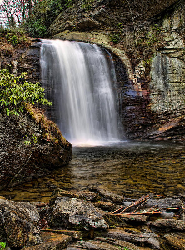 Waterfall Poster featuring the photograph Looking Glass Falls by Louise St Romain