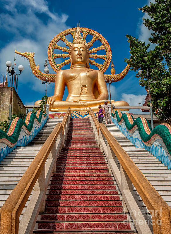 Buddha Poster featuring the photograph Lord Buddha by Adrian Evans