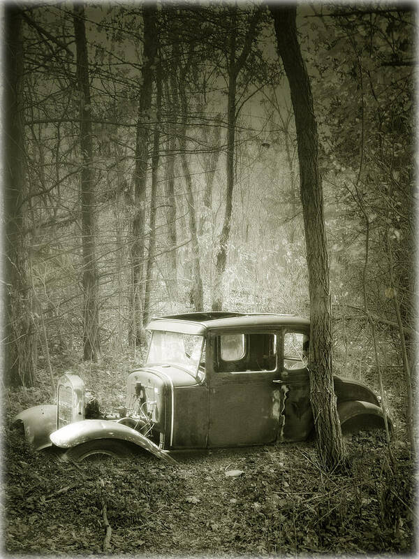 Cars Poster featuring the photograph Lost in the Woods by John Anderson