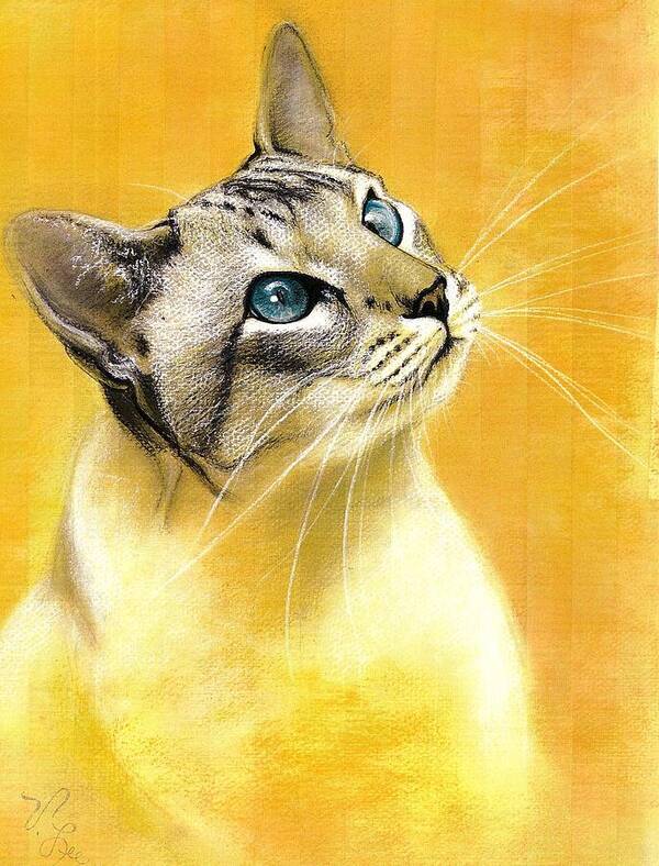 Cat Poster featuring the drawing Lynx Point Siamese by VLee Watson