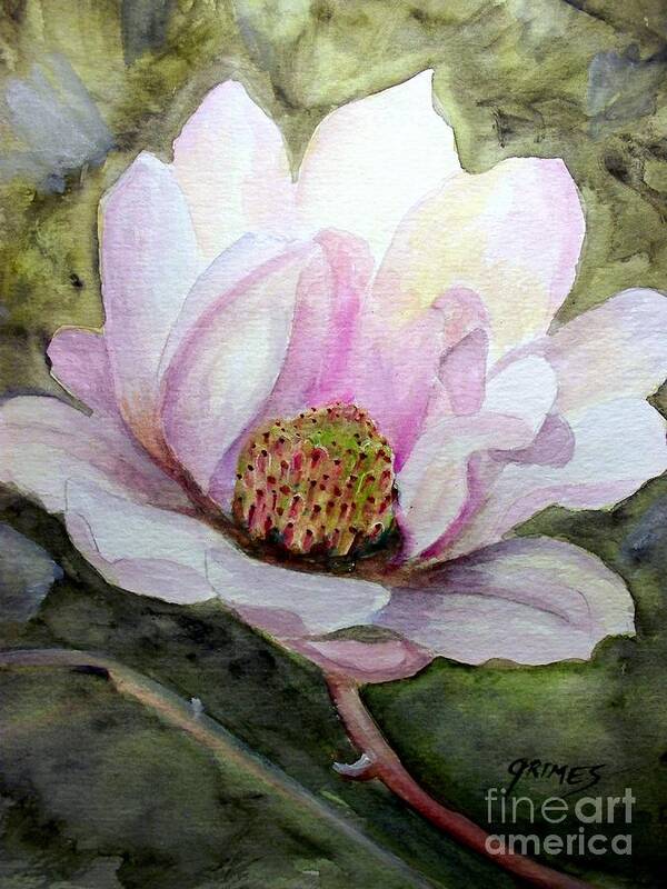 Flower Poster featuring the painting Magnolia in Bloom by Carol Grimes