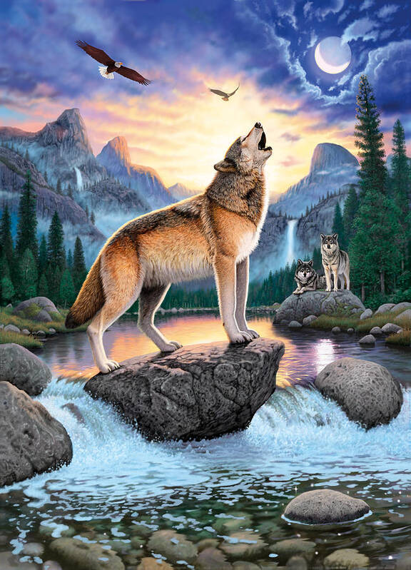 Wolf Poster featuring the photograph Midnight Call by MGL Meiklejohn Graphics Licensing