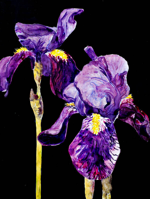 Iris Poster featuring the painting Midnight Iris by Karen Ann