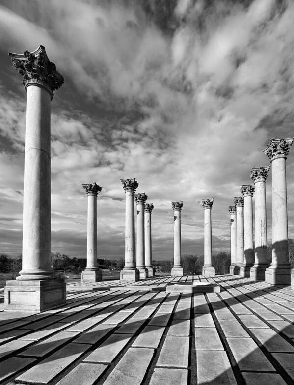 capitol Columns Poster featuring the photograph National Arboretum - Capitol Columns by Brendan Reals