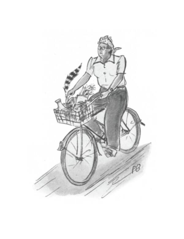 111960 Pba Perry Barlow Woman Rides Bicycle With Groceries And A Cat In Her Carrying Basket.
 Basket Bicycle Carrying Cat Food Groceries Kitten Pet Produce Products Rides Shop Shopping Woman Poster featuring the drawing New Yorker June 6th, 1942 by Perry Barlow