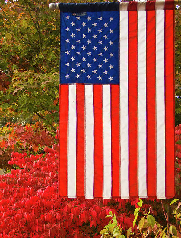 Ron Roberts Poster featuring the photograph Old Glory by Ron Roberts