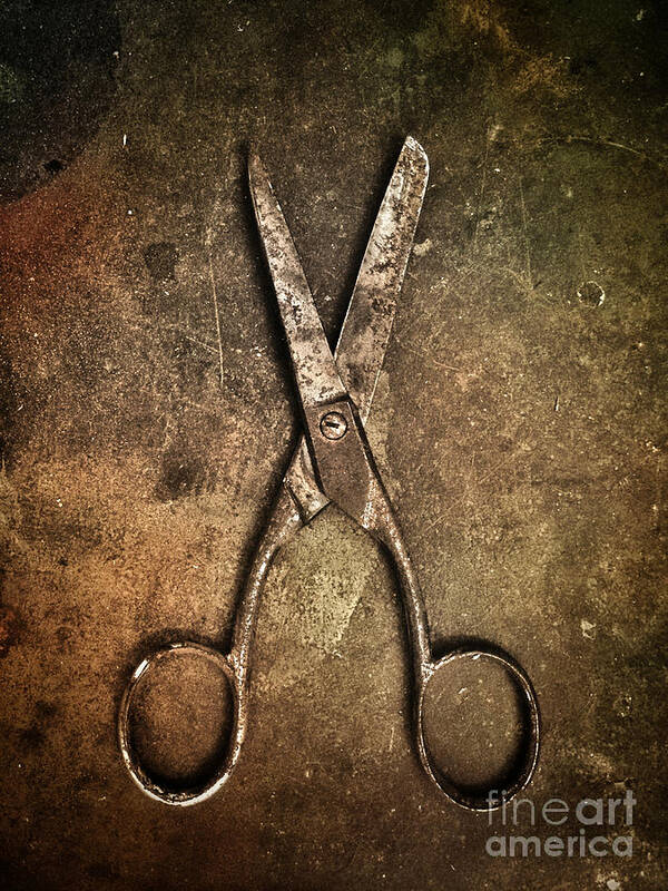 Scissors Poster featuring the photograph Old Scissors by Carlos Caetano