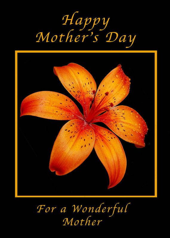 Mother Poster featuring the photograph Orange Lily Mothers Day Card by Michael Peychich