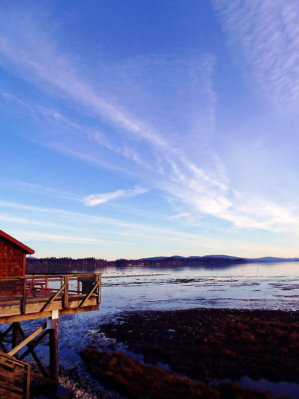 Oyster Poster featuring the photograph Oyster Flats by Pamela Patch