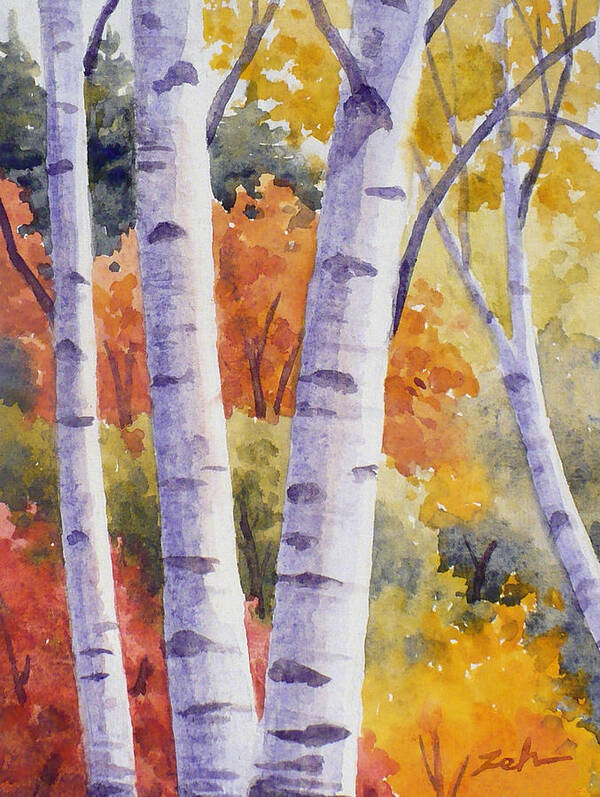Birch Poster featuring the painting Paper Birches in Autumn by Janet Zeh