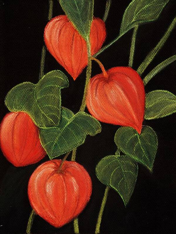 Plant Poster featuring the painting Physalis by Anastasiya Malakhova