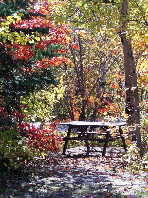 Picnic Poster featuring the photograph Picnic Memories by Gigi Dequanne