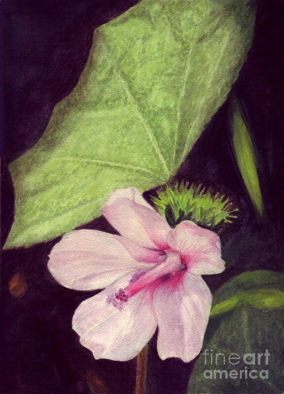 Pink Poster featuring the painting Pink Hibiscus by Mukta Gupta