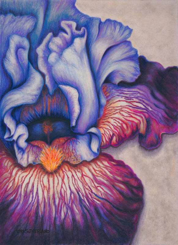 Pastel Poster featuring the painting Purple Iris by Lori Sutherland