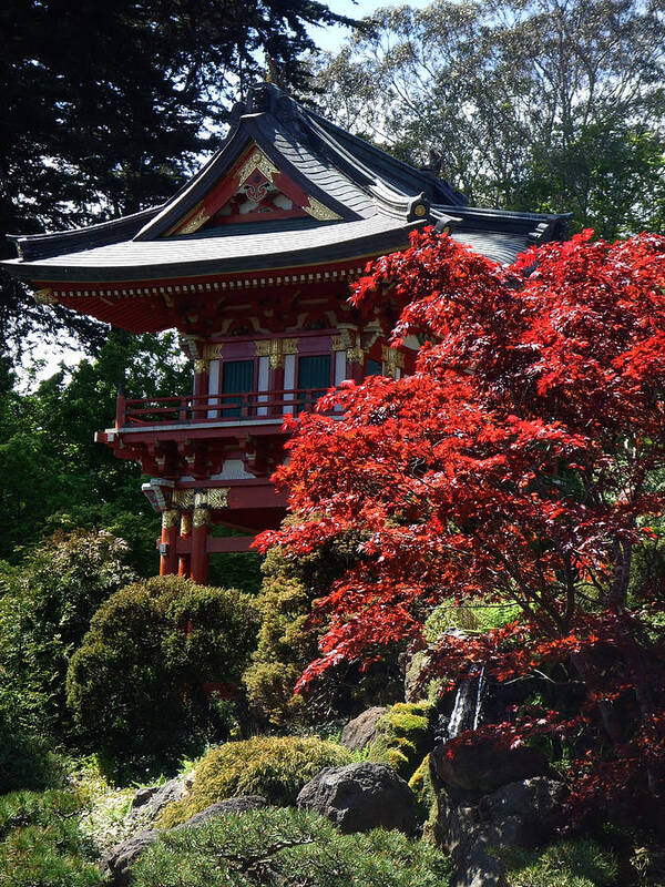 Pagoda Poster featuring the photograph Red Pagoda by Richard Reeve