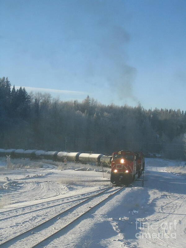 Cn Poster featuring the photograph Ride The Rails by Vivian Martin